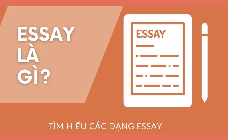 Essay là gì