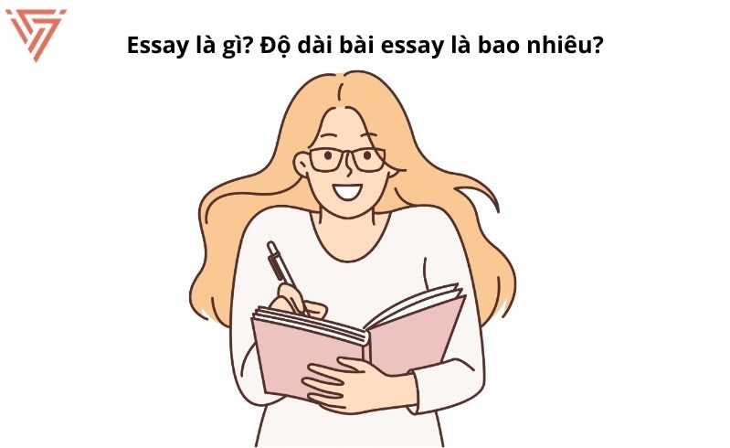 Essay là gì