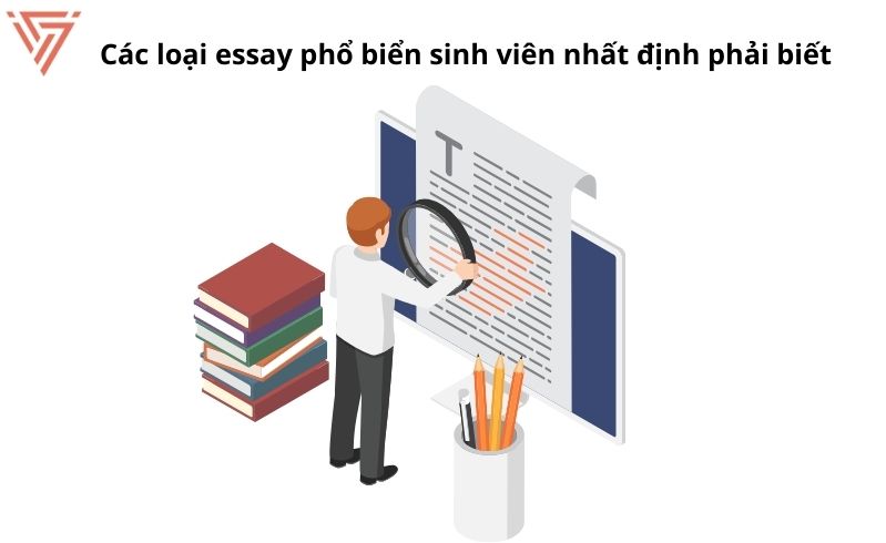 Essay là gì