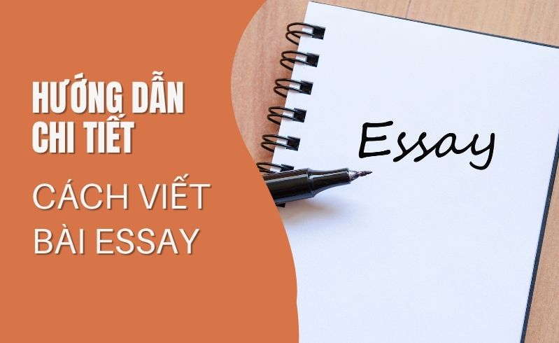 Cách viết bài essay