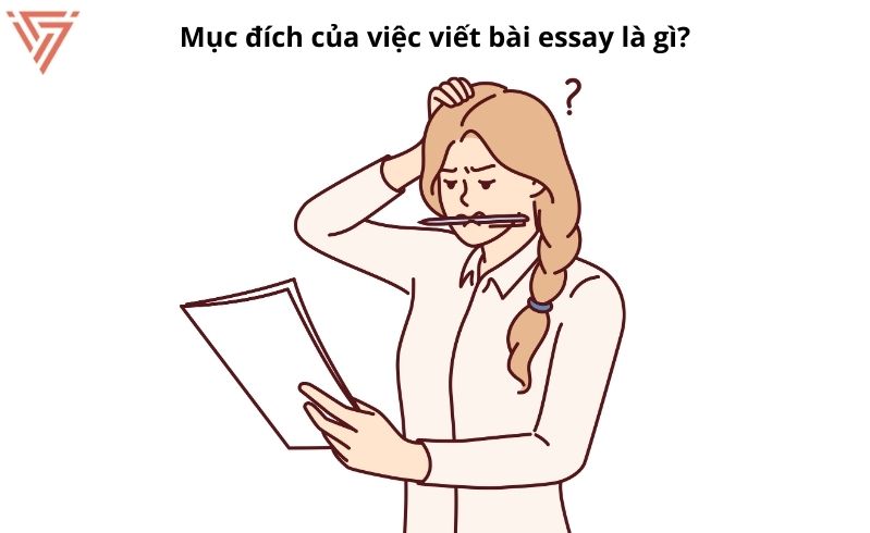 Cách viết bài essay