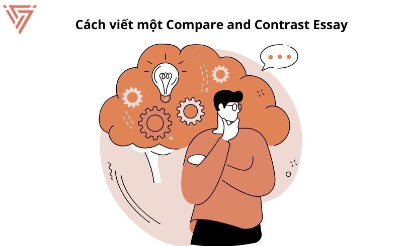 Cách viết Compare and Contrast Essay