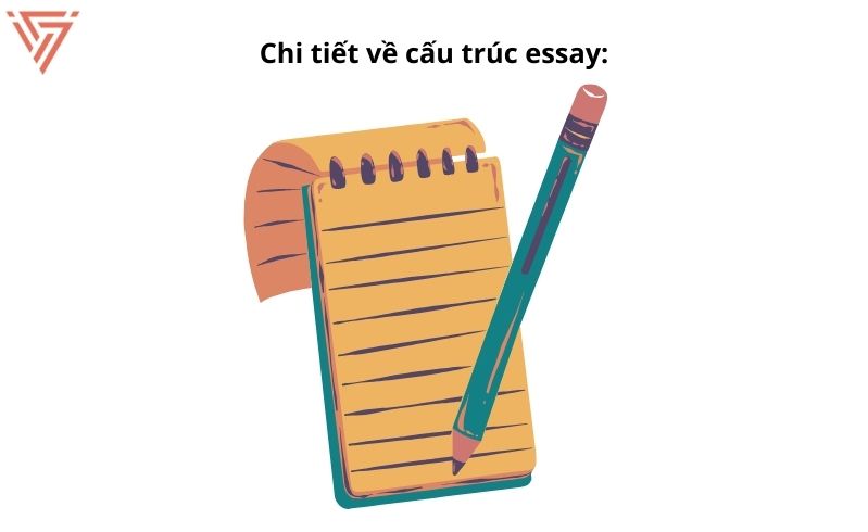 Cấu trúc essay hoàn chỉnh