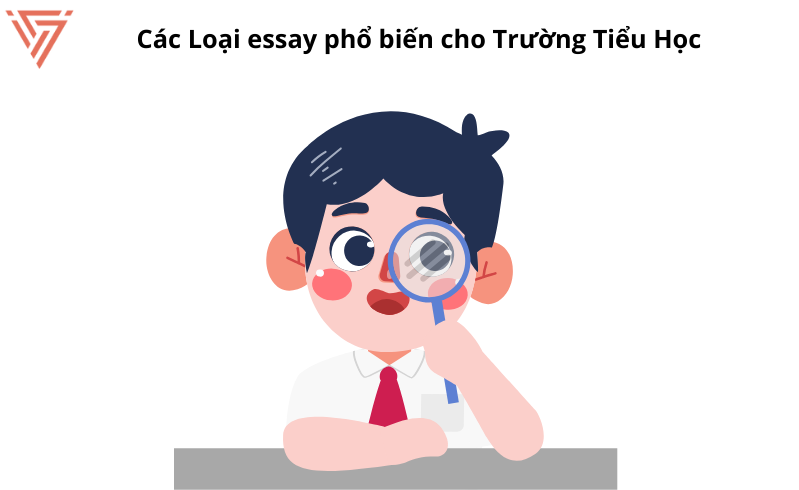 Các loại essay phổ biến