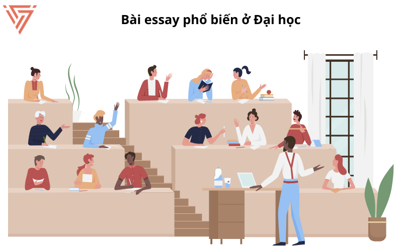 Các loại essay phổ biến