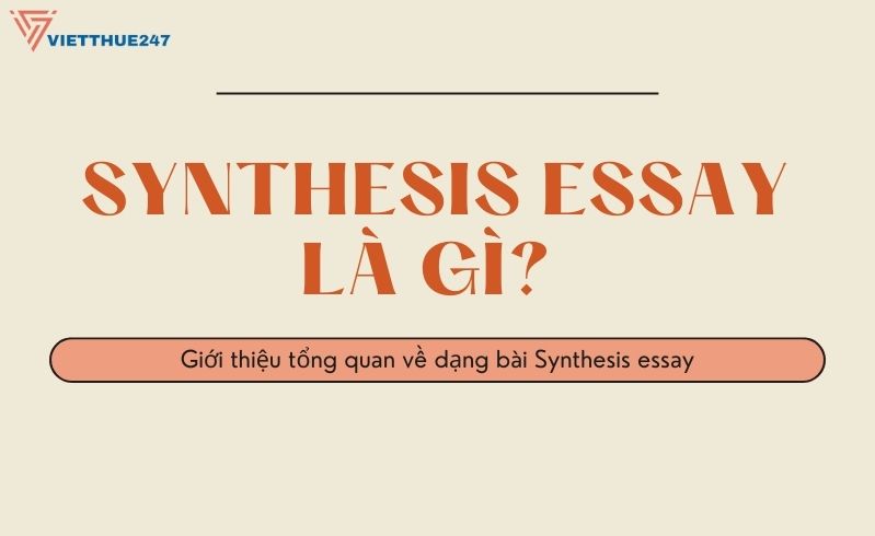 Synthesis essay là gì?