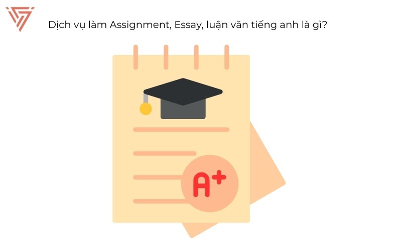 Dịch Vụ Viết Thuê Assignment – Viết Essay Thuê – Viết Thuê Luận Văn Tiếng Anh