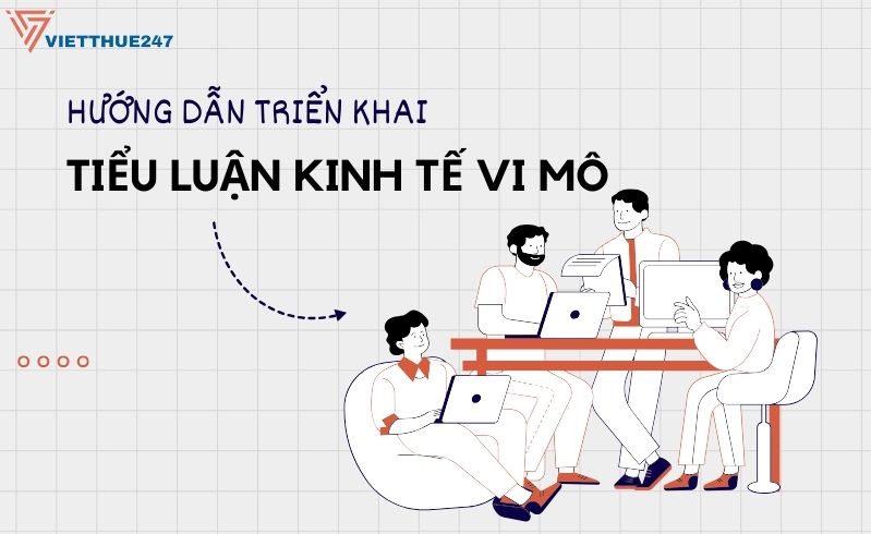 Bài viết tiểu luận kinh tế vi mô