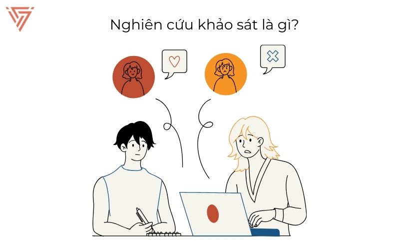 Nghiên cứu khảo sát (Survey Research)