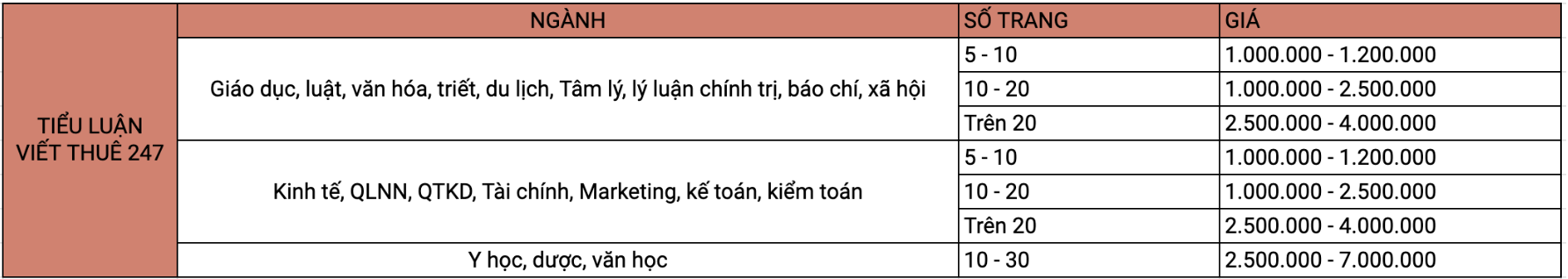 Dịch vụ viết thuê tiểu luận