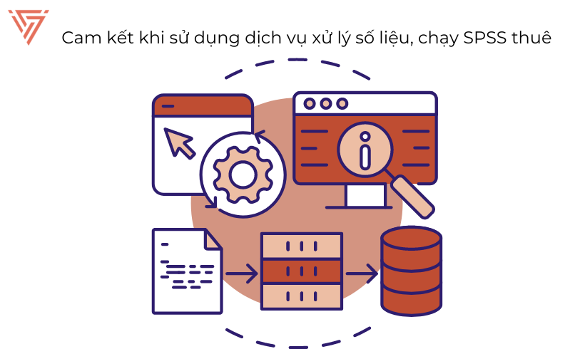 Dịch vụ phân tích định lượng, dịch vụ xử lý số liệu, nhận thuê chạy SPSS