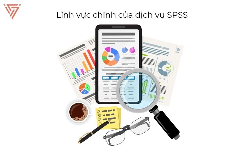 Dịch vụ xử lý số liệu, chạy spss