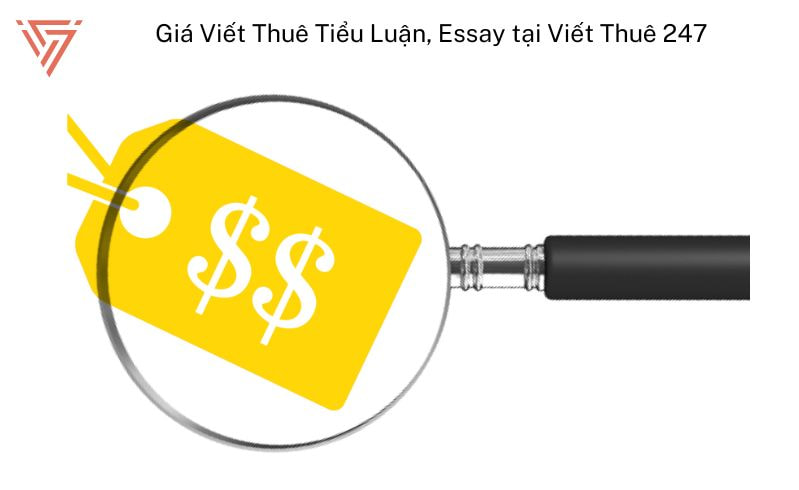 Nhận viết thuê tiểu luận, essay