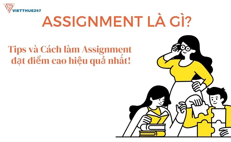 Assignment là gì?